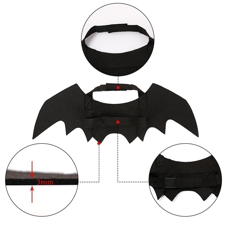 Détails des ailes de chauve-souris : attache scratch