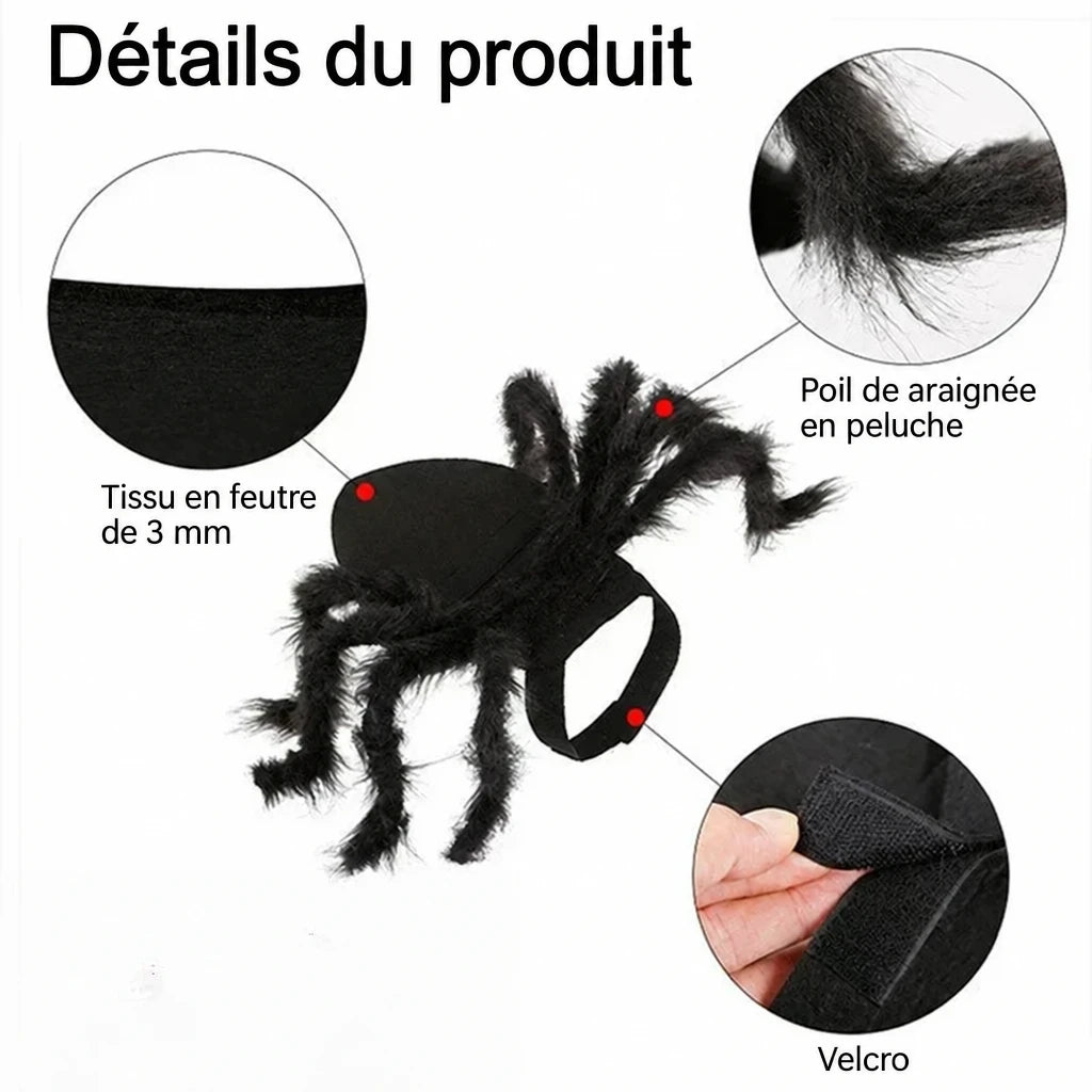 Costume Araignée Géante pour Chien et Chat – Halloween